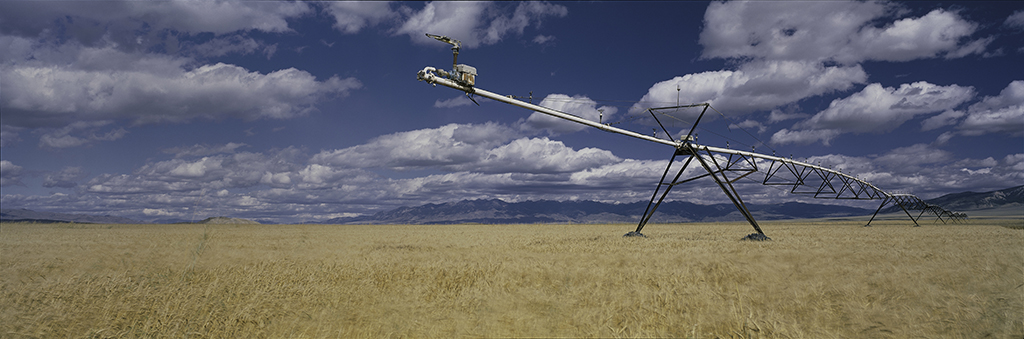 Sprinkler irrigation