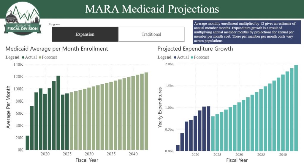 First page of Medicaid data tool